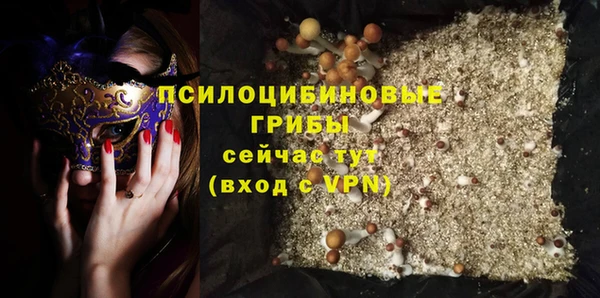 mdpv Алзамай